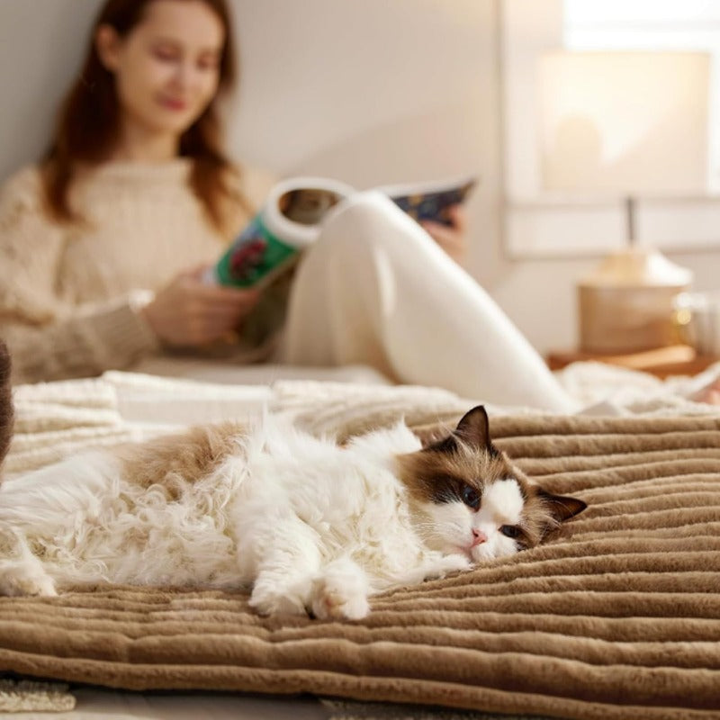 Self Warming Pet Bed