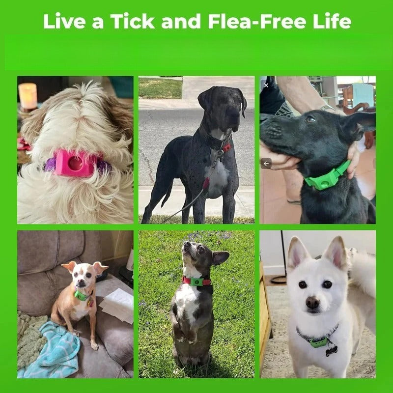 Waterproof Chemical-Free Tick Repellent Tag