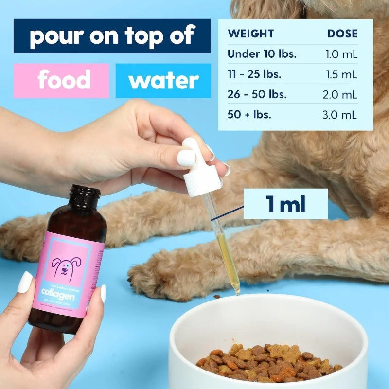 Pet Collagen Powder Supplement