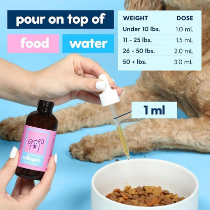 Pet Collagen Powder Supplement