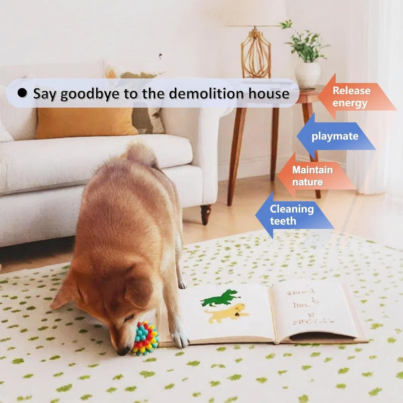 Heavy-Duty Spiky Chew Ball – Dental-Friendly Toy for Medium & Large Dogs