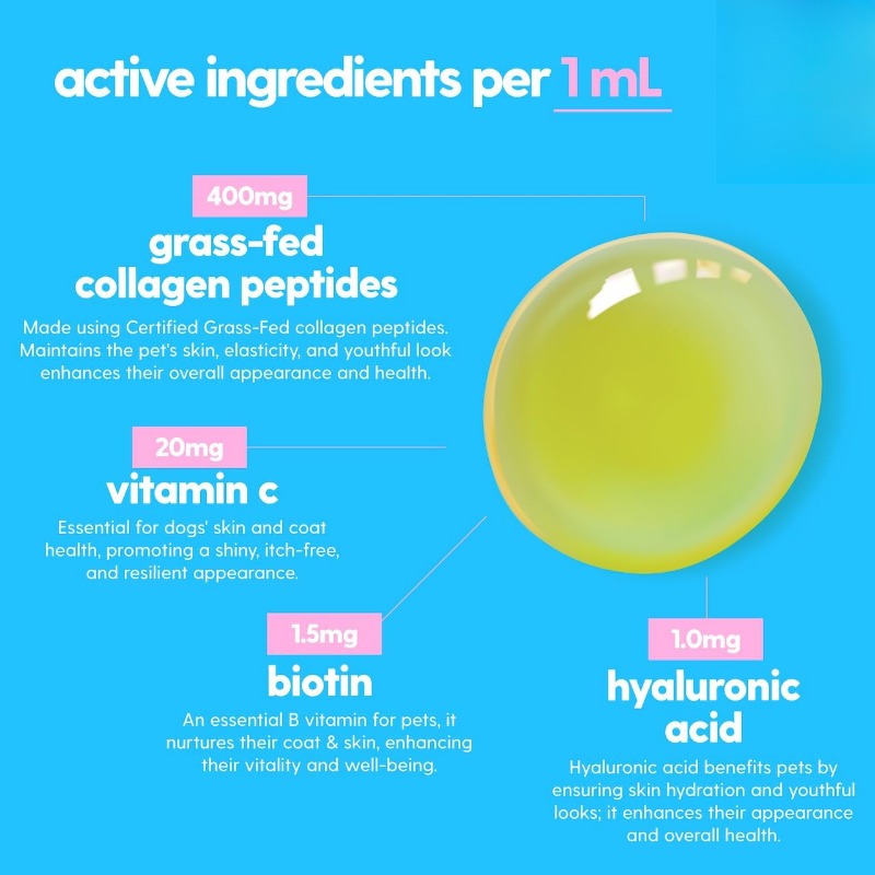 Pet Collagen Powder Supplement